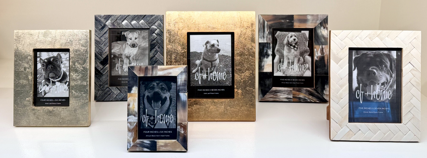 picture frames by zodax